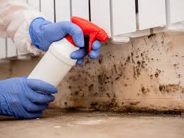 Best Commercial Mold Inspection  in Frazier Park, CA